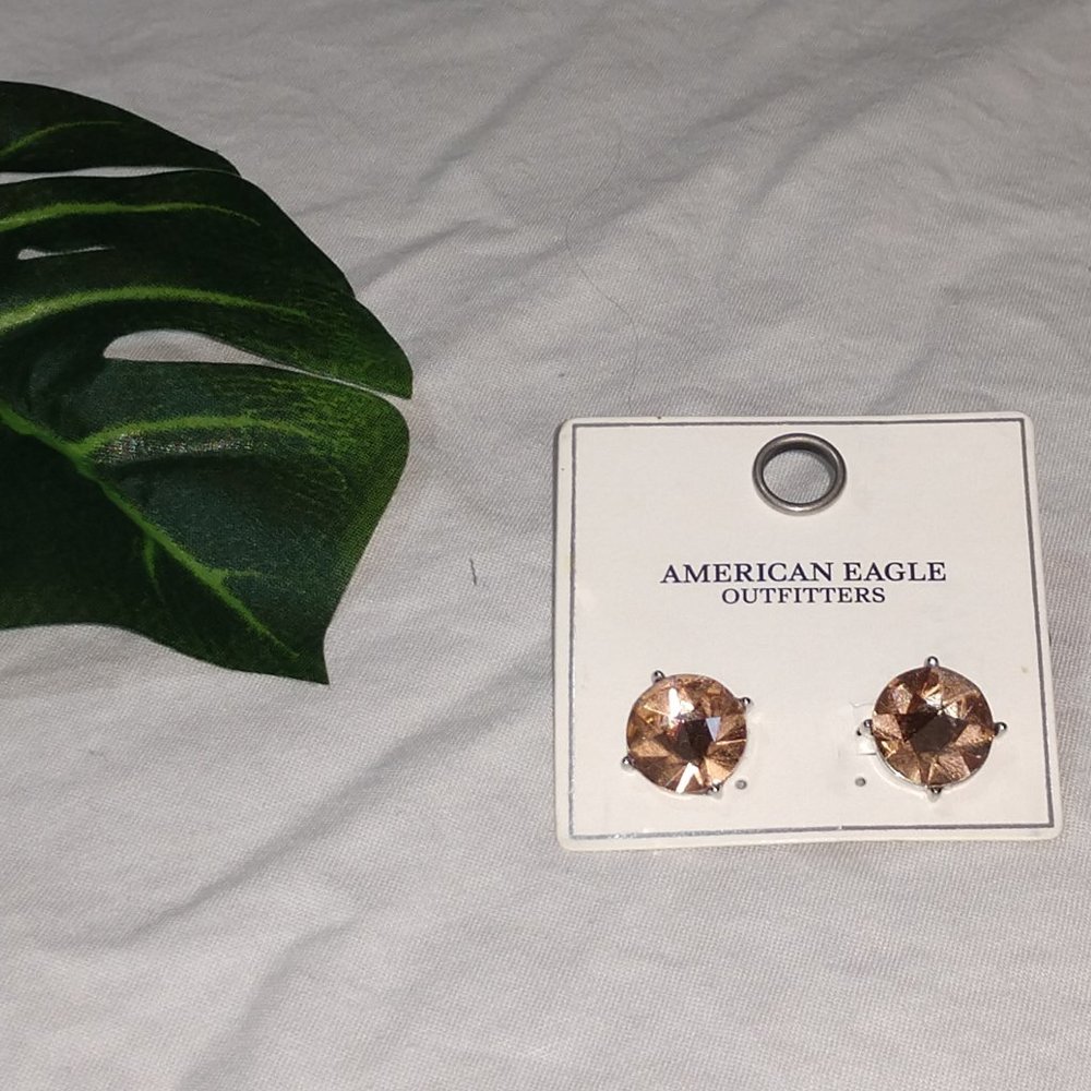 🌺American Eagle Round Rose Gold Crystal Studs